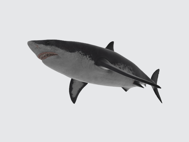 megalodon